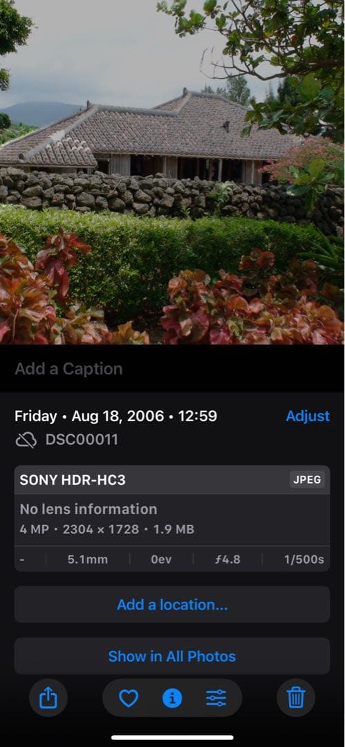 SONY ハンディカム HDR-HC3 ビデオカメラ　充電器　作例あり