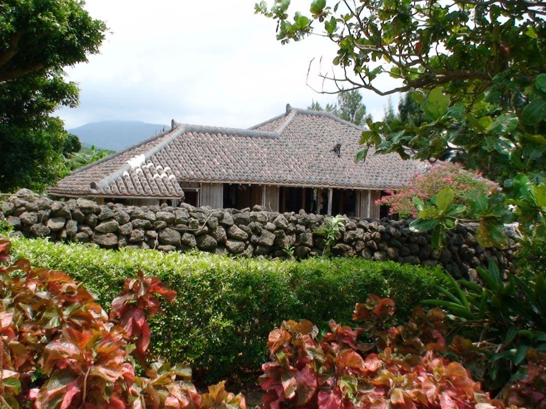 SONY ハンディカム HDR-HC3 ビデオカメラ　充電器　作例あり