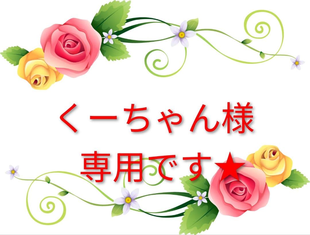くーちゃんです★　3セットです★　フォーミュラセット★箱無し発送です★
