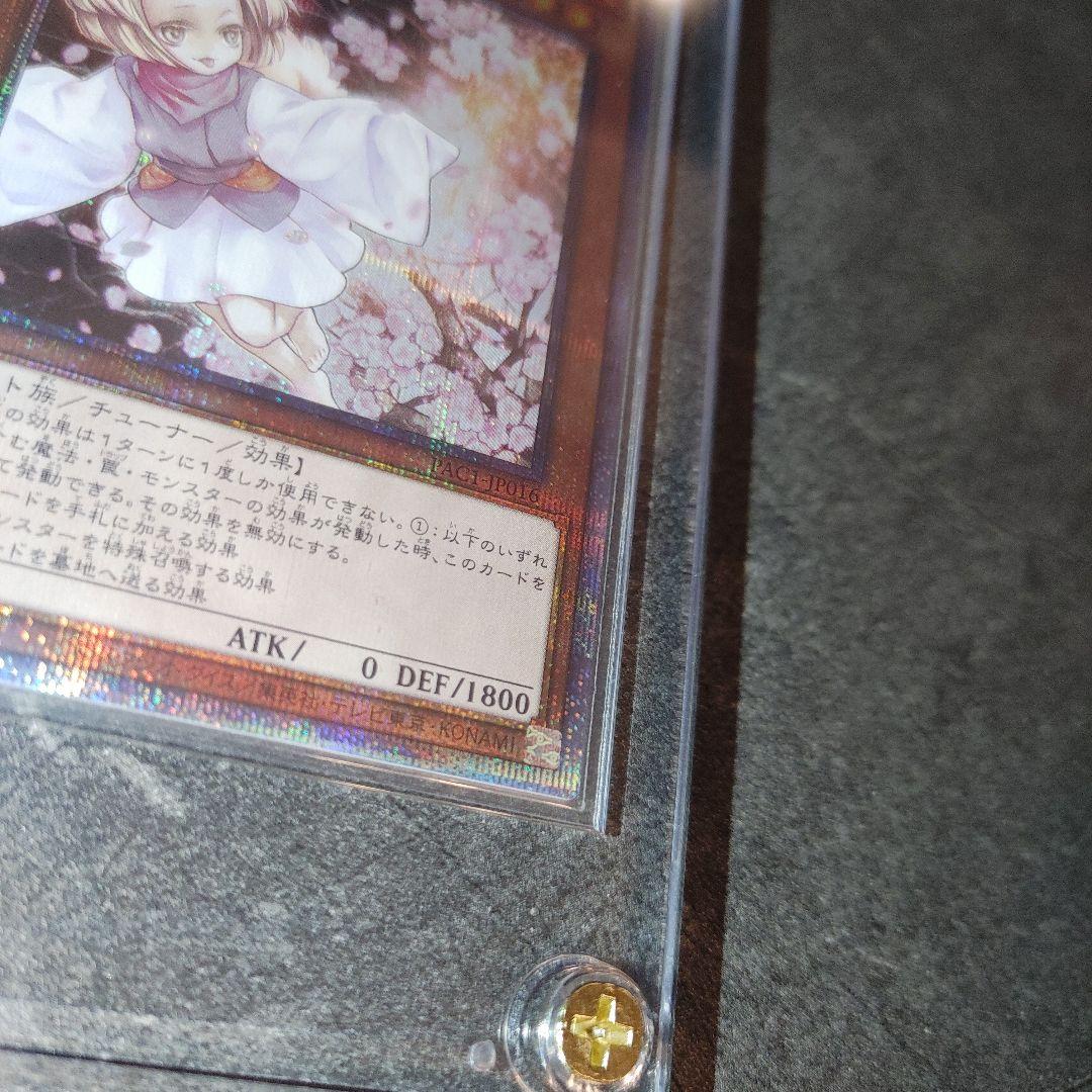 遊戯王　灰流うらら　プリズマ　ホログラムエラー　はるうらら