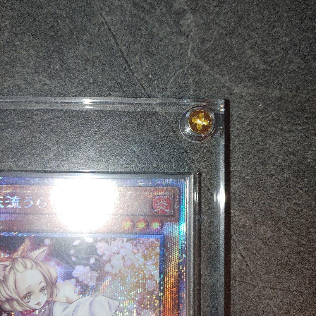 遊戯王　灰流うらら　プリズマ　ホログラムエラー　はるうらら