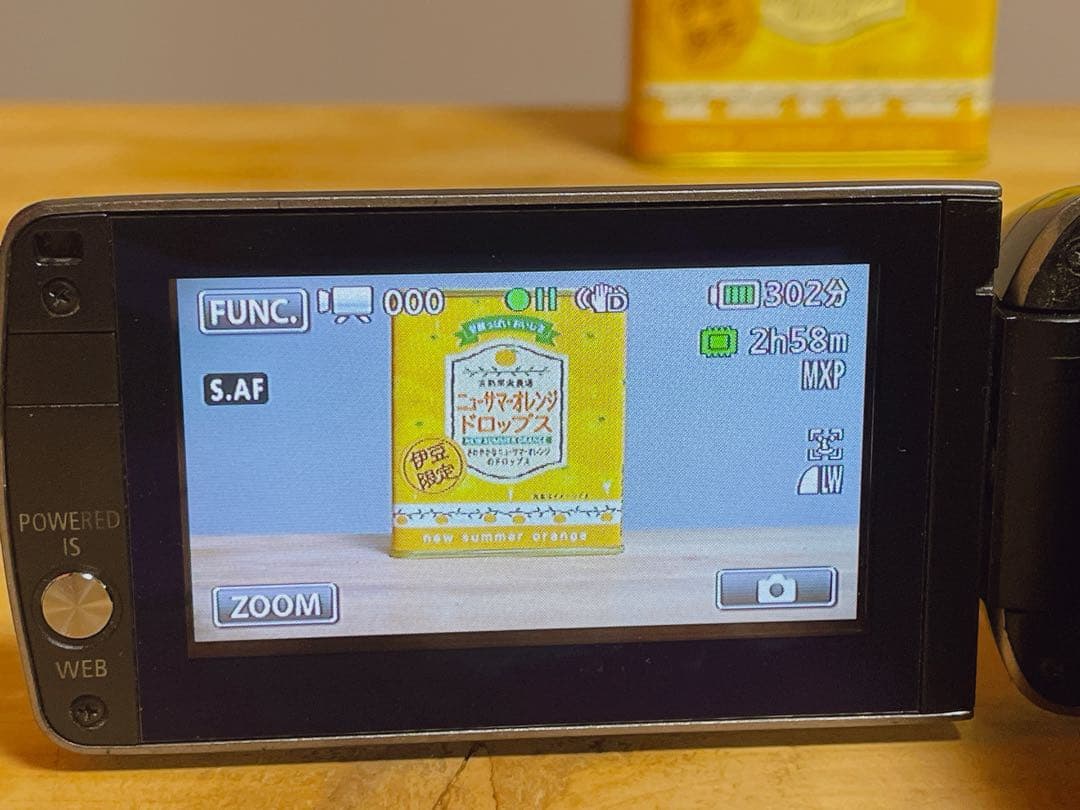 Canon iVIS HF M31 ビデオカメラ 本体