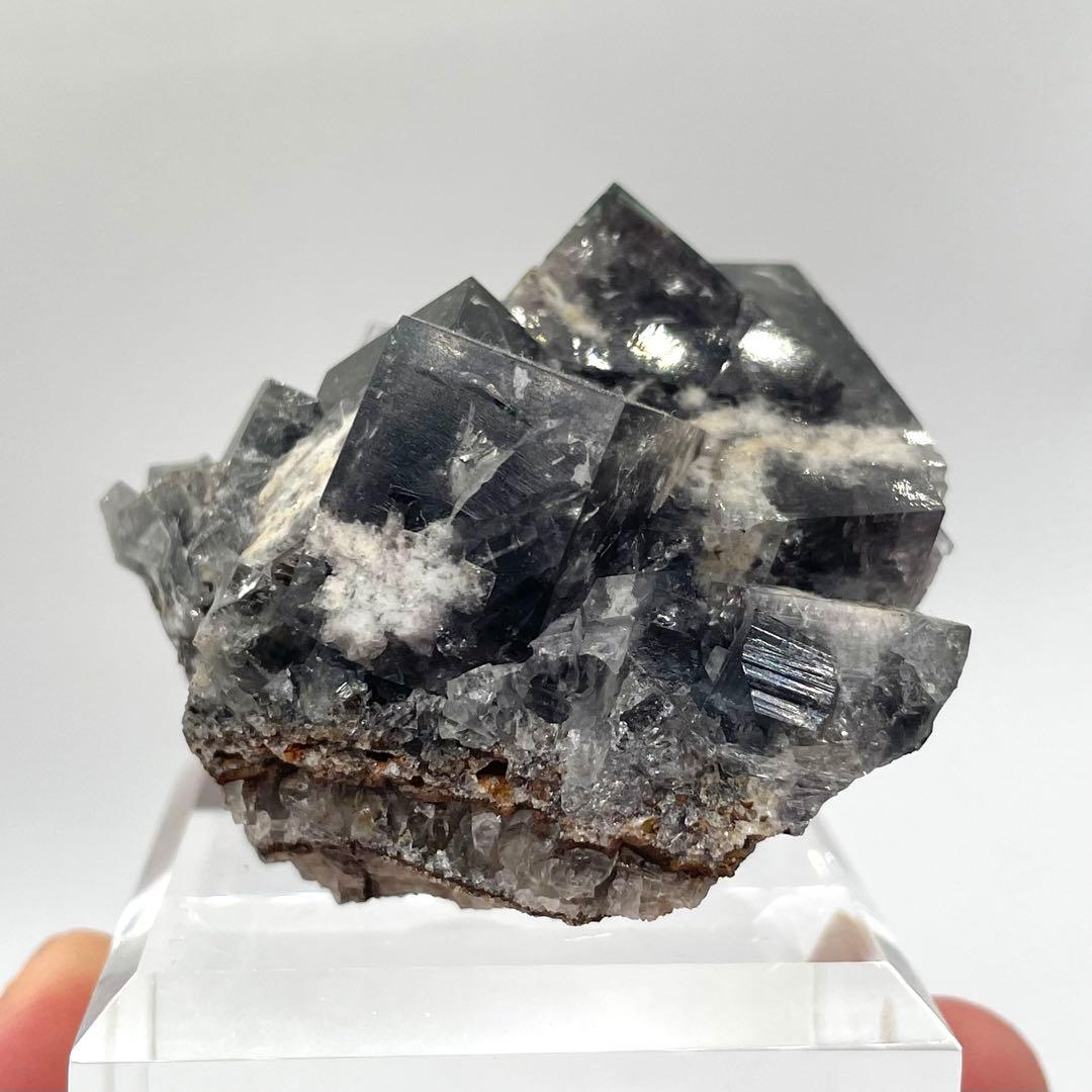 Diana Maria mine Yam Yam Pocket フローライト