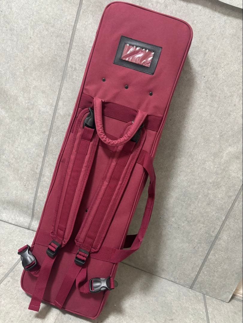 沖縄三線　弦楽器　ケース付き　おまけ付き