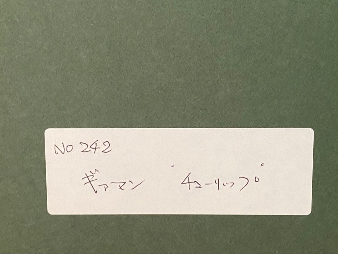 ポールギヤマン チューリップ 額縁 インテリア