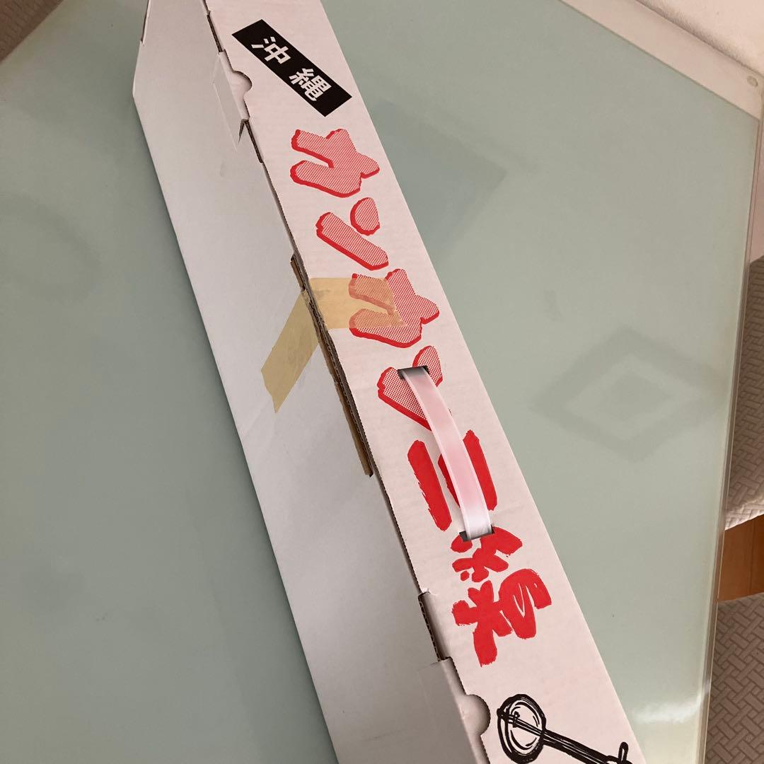 【未使用】カンカン三線　カンカラ三線　ハイビスカスと蝶柄　沖縄