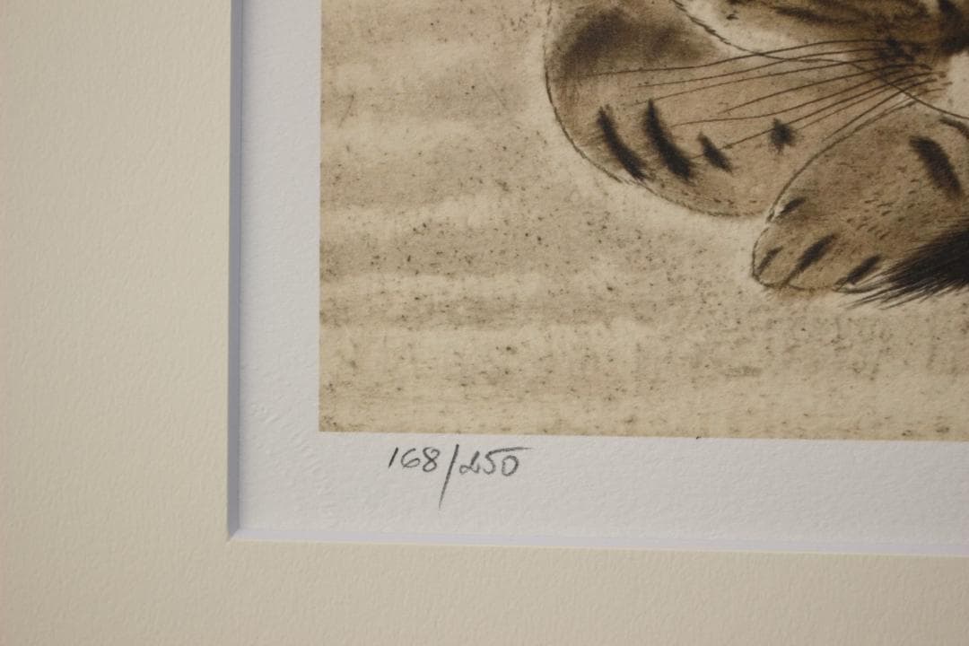 藤田嗣治 エスタンプリトグラフ 「眠る猫」 250部限定