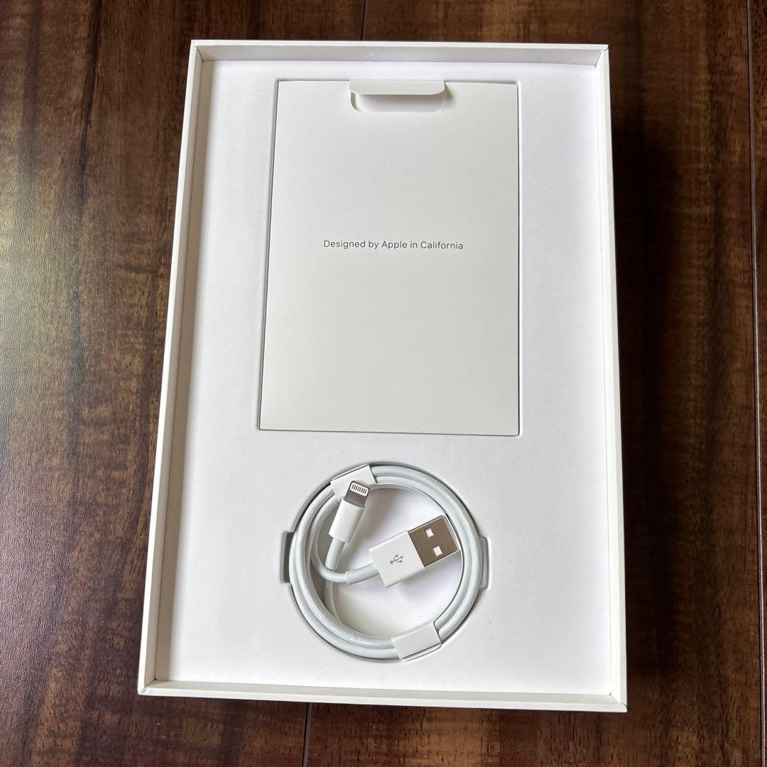 Apple iPad mini 5 スペースグレー 本体　バッテリー容量89%