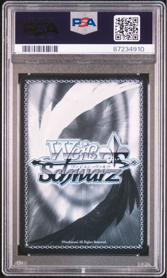 PSA10 ジャンバール