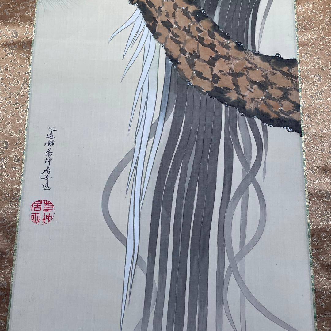 伊藤若冲 尾長鶏 絹本 掛軸 真作 箱入り 鶏