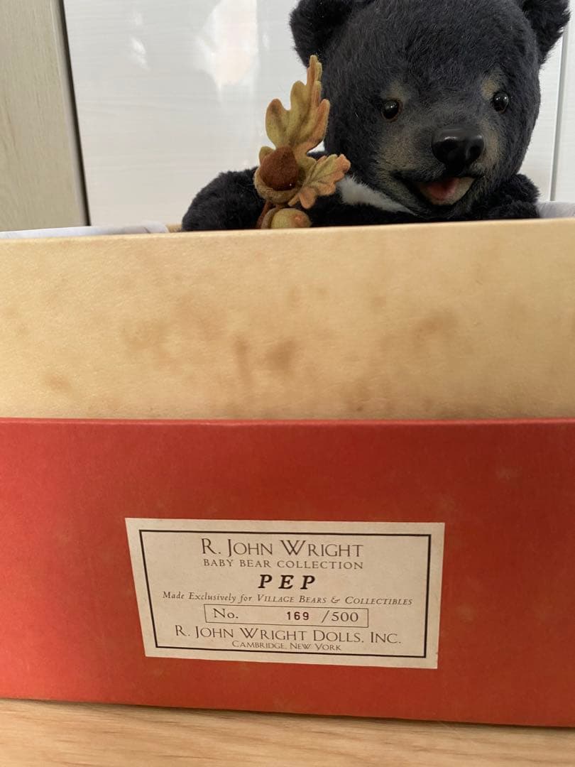 ジョンライト　テディベア　pop