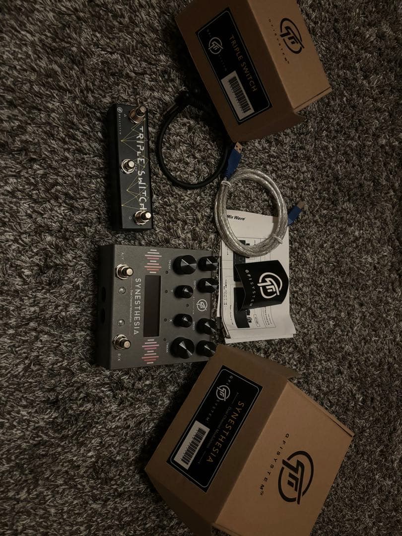 ギター GFI SYSTEM SYNESTHESIA + TRIPLE SWITCH