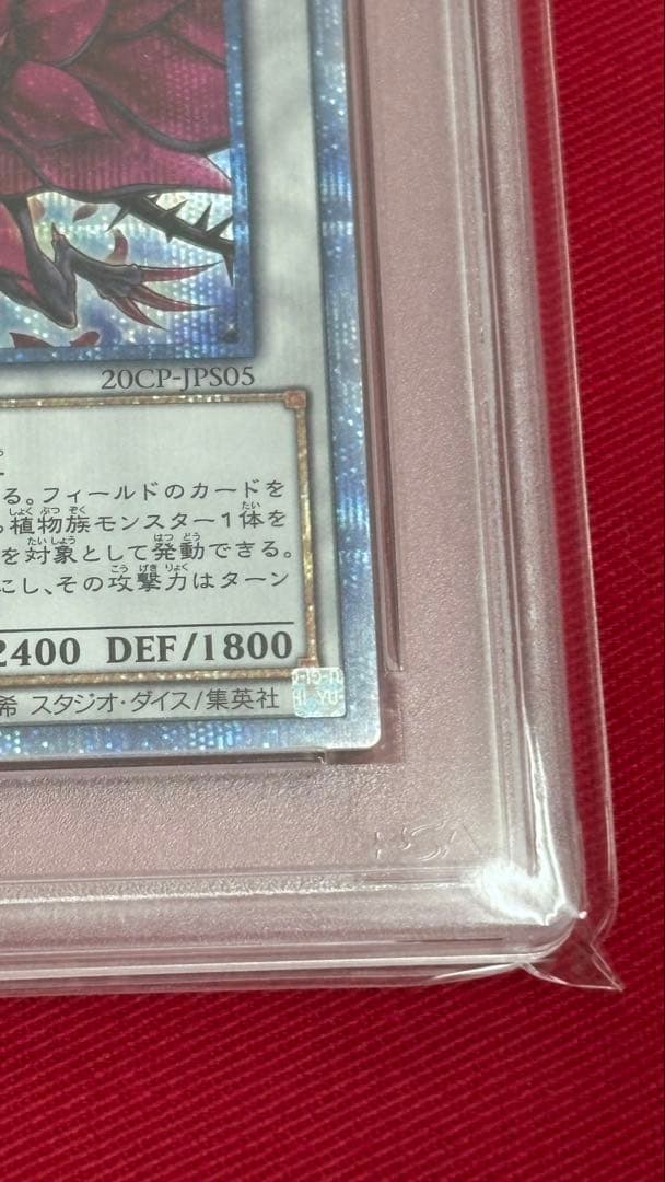 遊戯王 PSA10 ブラックローズドラゴン 20th