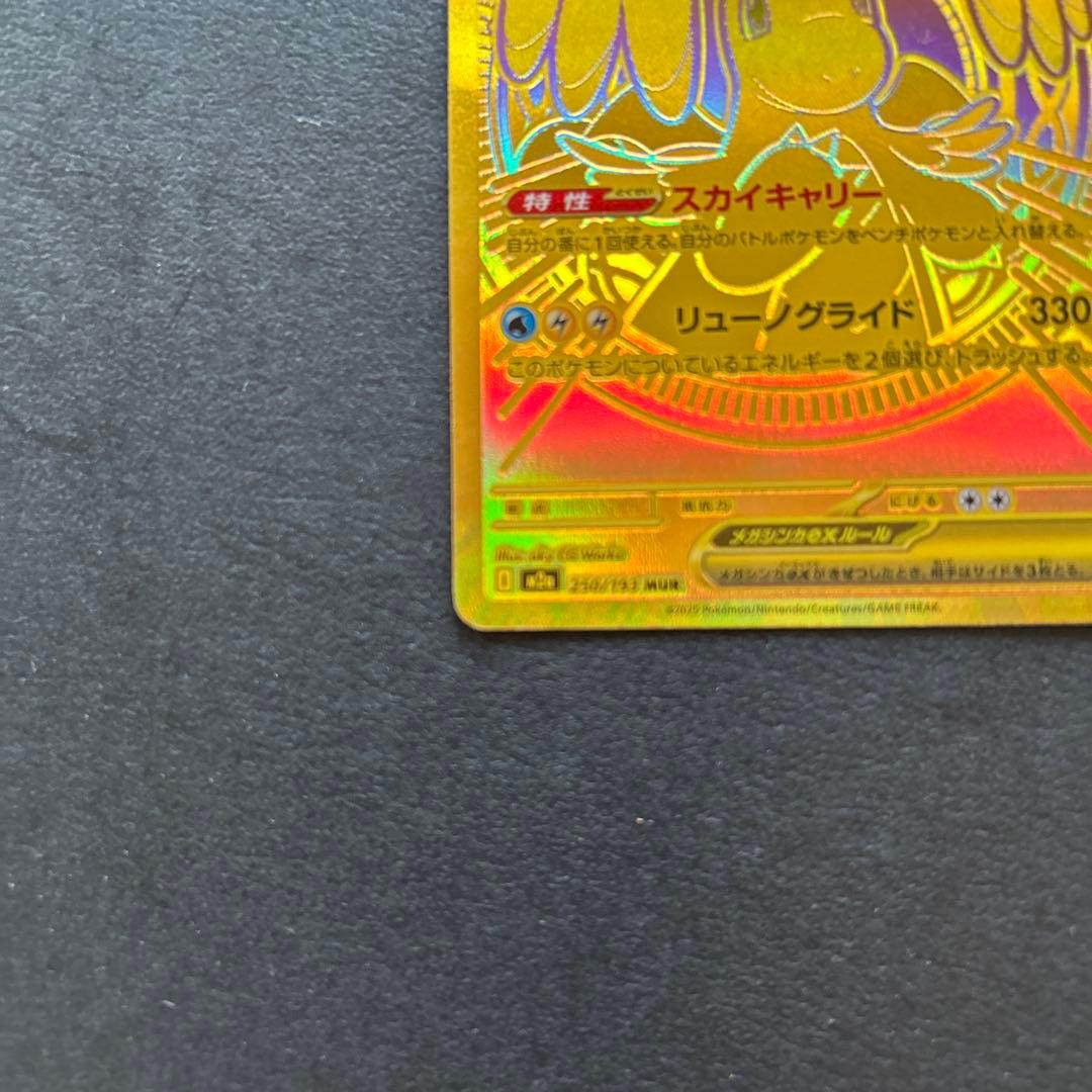 メガカイリューex mur