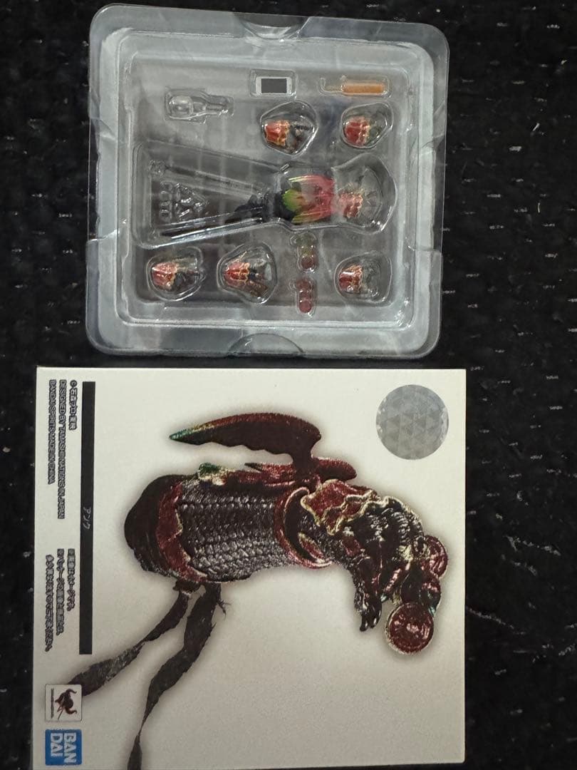 真骨彫　SHFiguarts アンク（人間態）+アンクセット