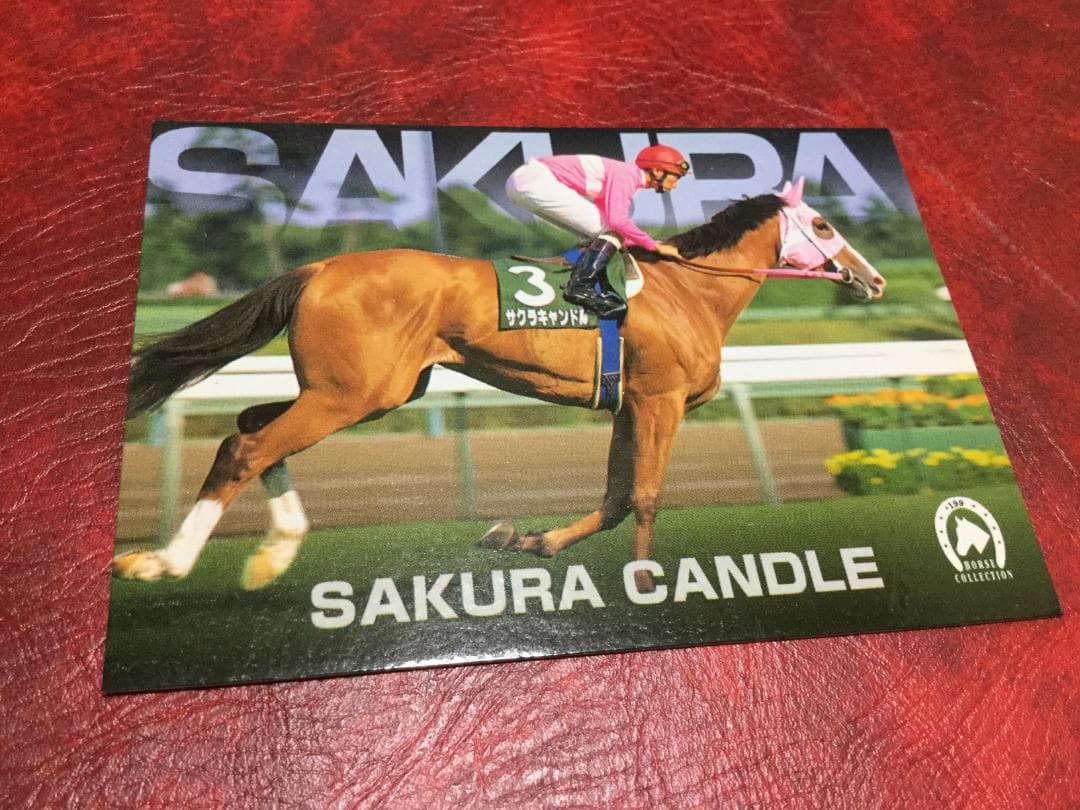 サクラキャンドル　サンプルカード　激レア　ホースレーシング　トレーディングカード