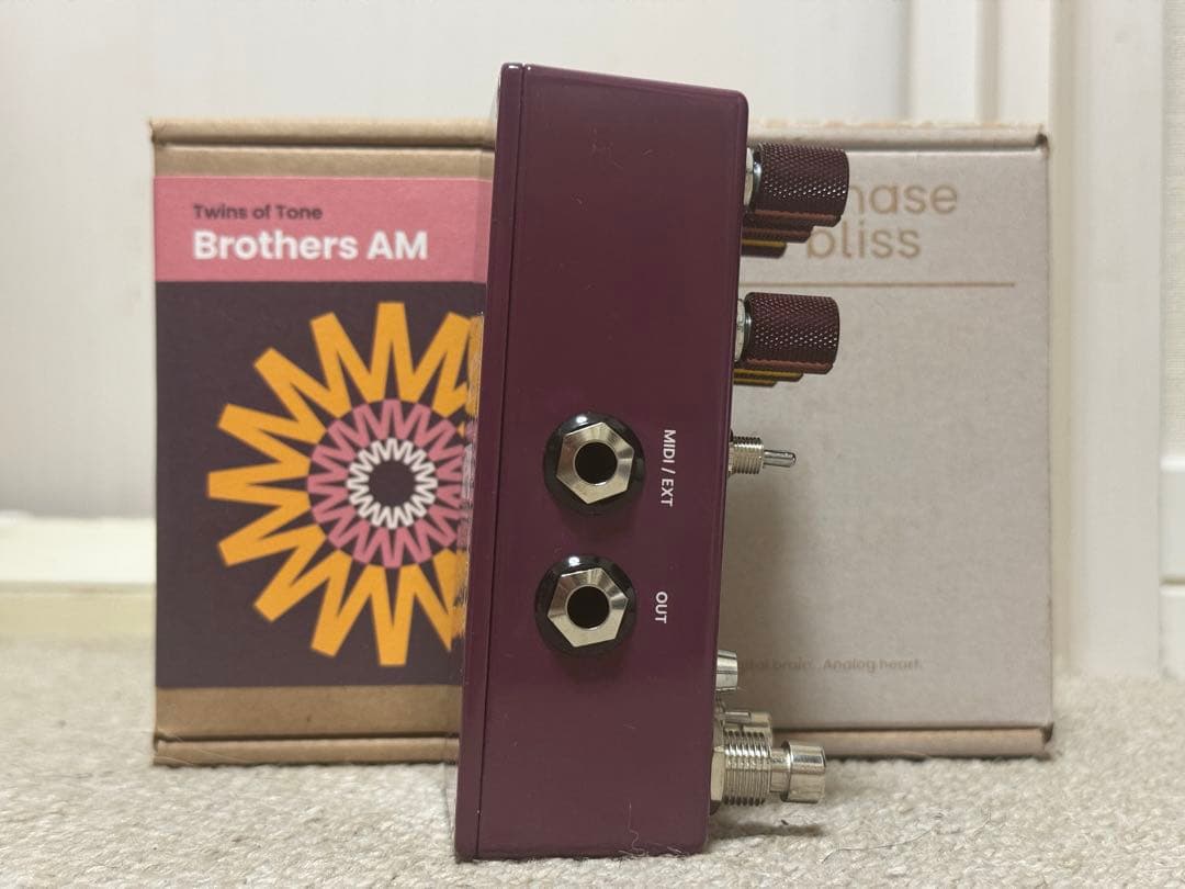 Chase Bliss Audio BROTHERS AM です。