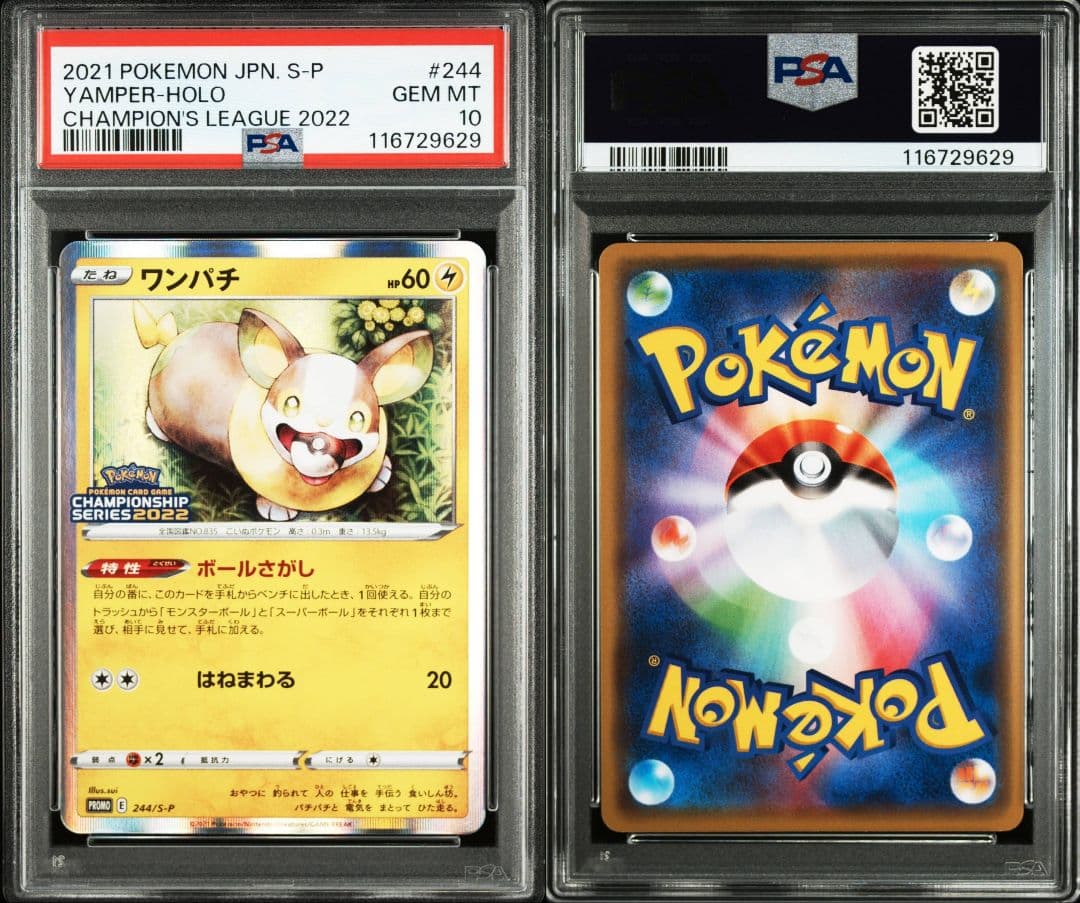 ワンパチ チャンピオンシップシリーズ2022 psa10 最新ケース
