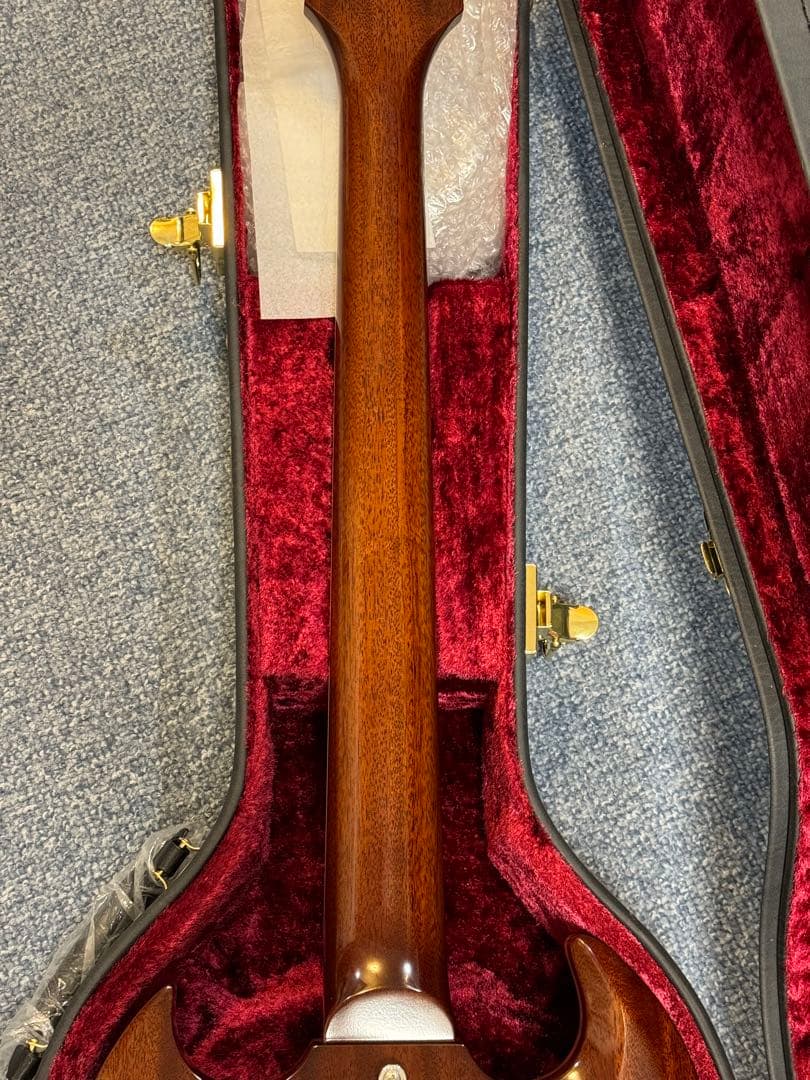 ギター momose MSG SAKURA SP 25 PH SKP GRD