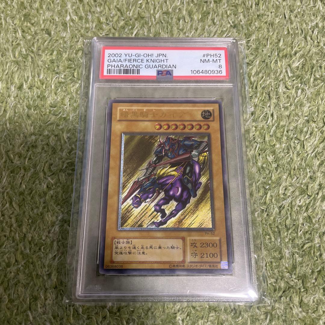 暗黒騎士ガイア　レリーフ　psa8
