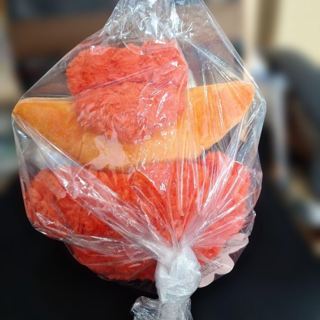 新品　タグ付き　ポケモンセンター　ロコン　アローラロコン　ふわふわ　ぬいぐるみ