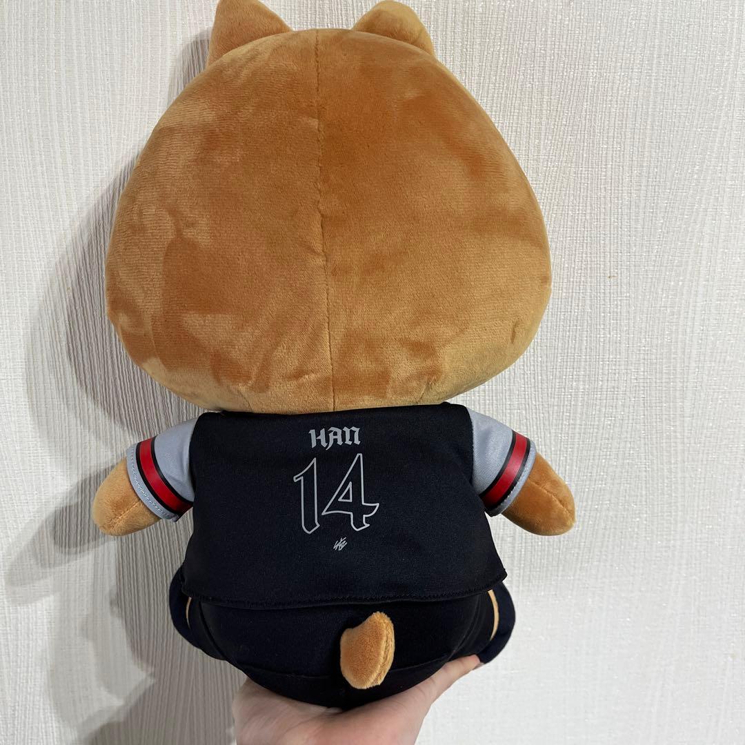 ハンクォッカ ぬいぐるみ エコパ グッズ straykids スキズ ハン