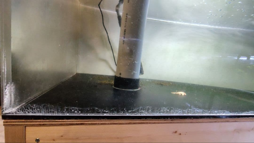 【送料込】大型アクリル水槽　1800×750×600（h）底面ブラック