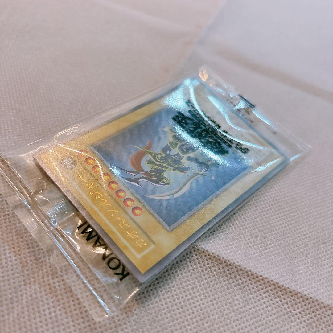 カオスソルジャー　完品フルセット