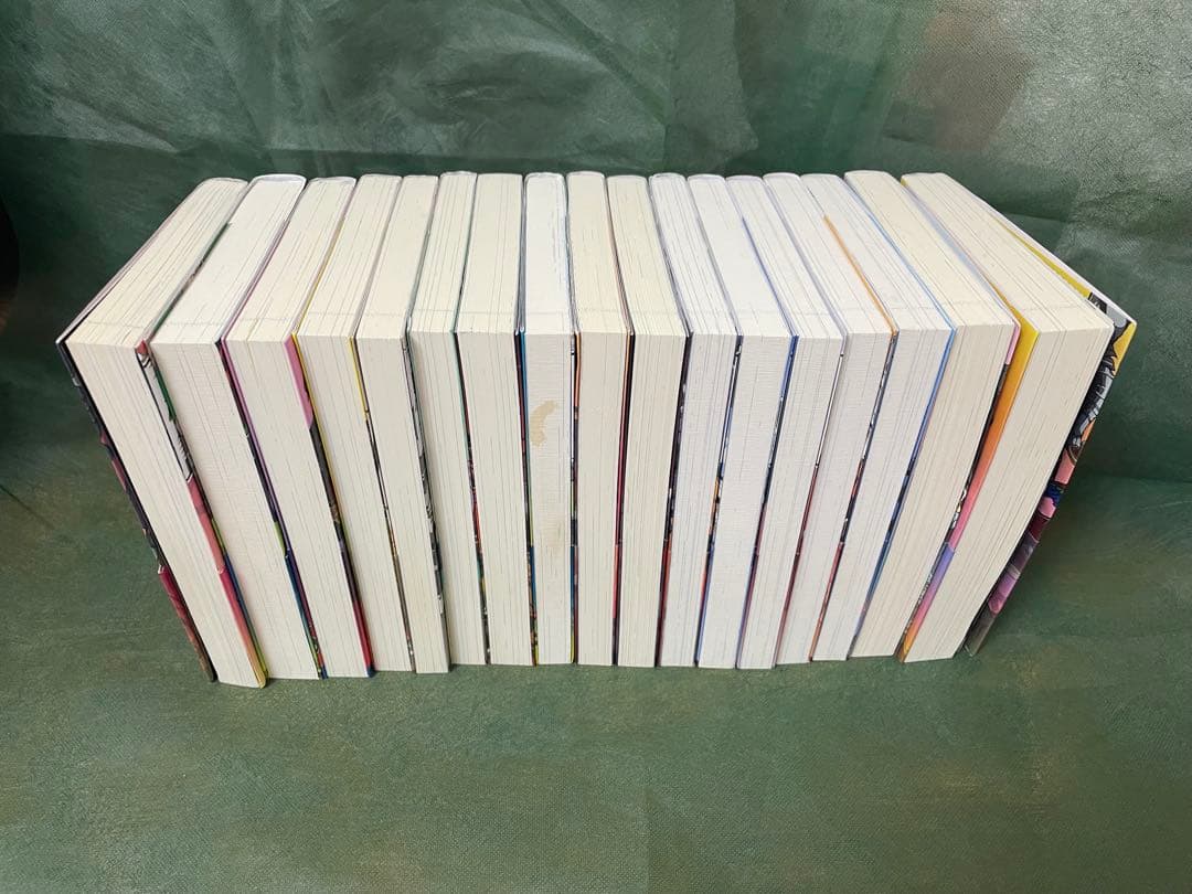 戦国小町苦労譚 1 〜17巻