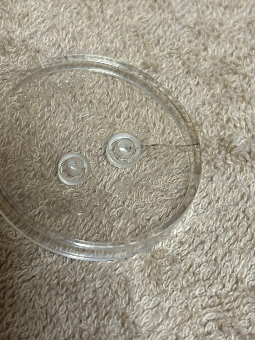 【特典あり・箱付き】D.Gray-man ハーフサイズトムス フィギュア