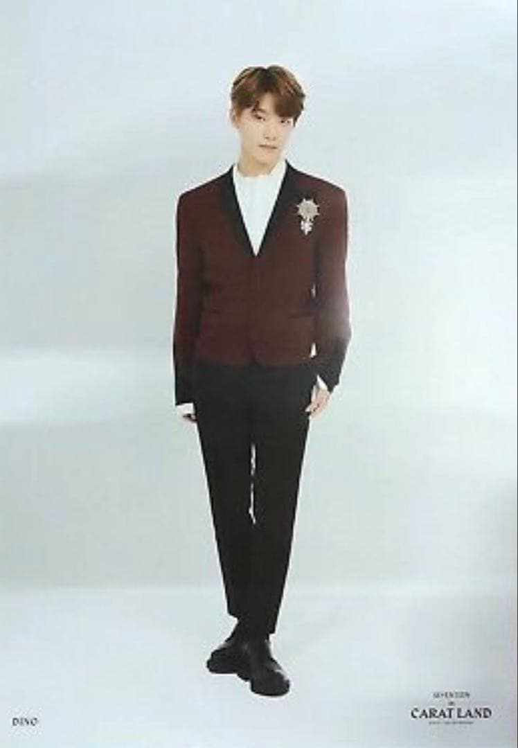 SEVENTEEN セブチ 2018 CARAT LAND ポスター セット