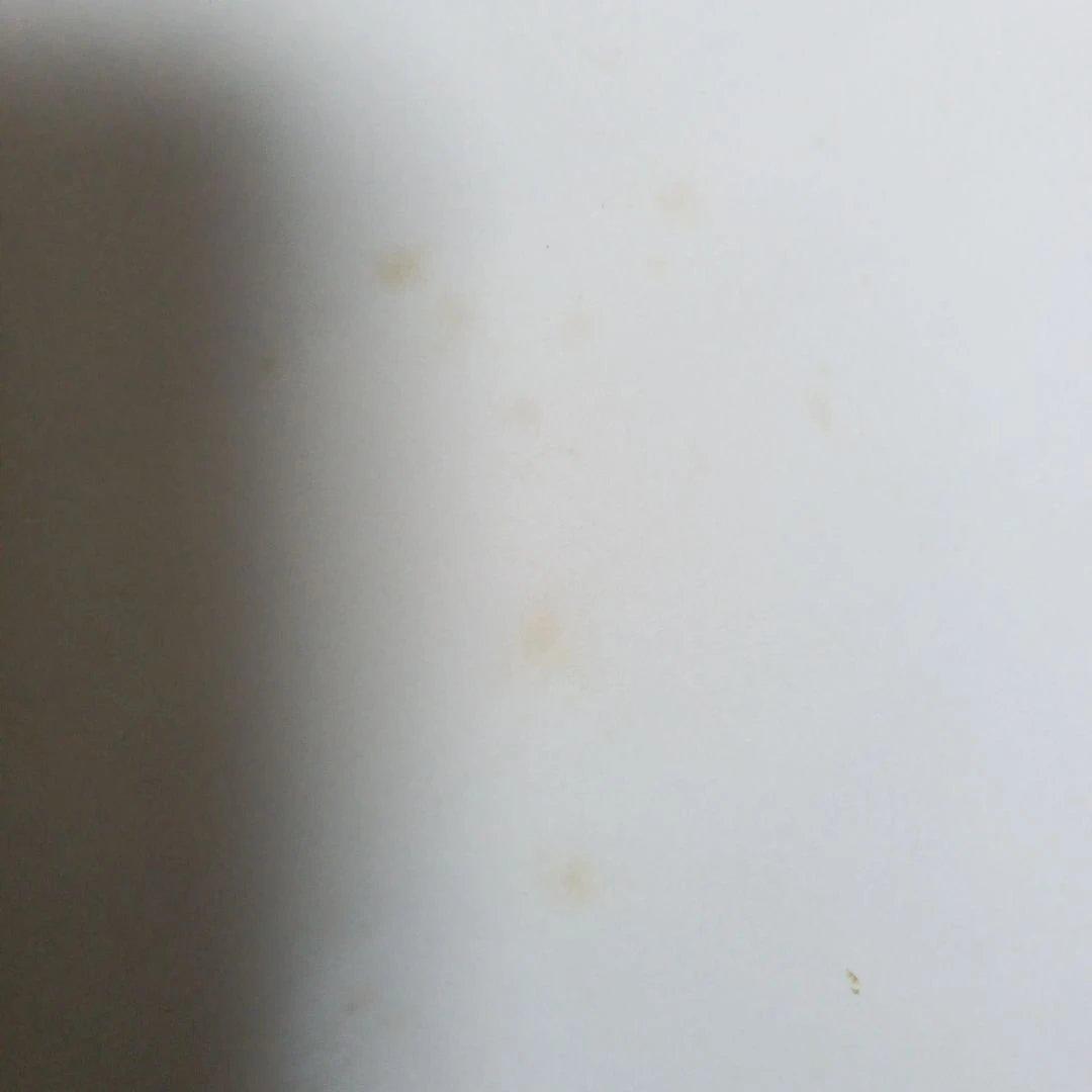 ポスター(遊星からの物体X)