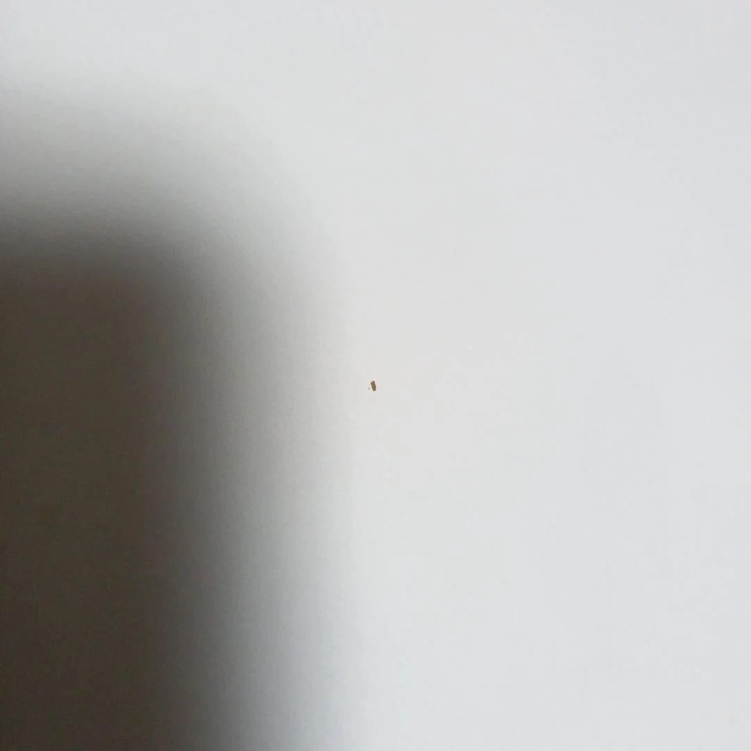 ポスター(遊星からの物体X)