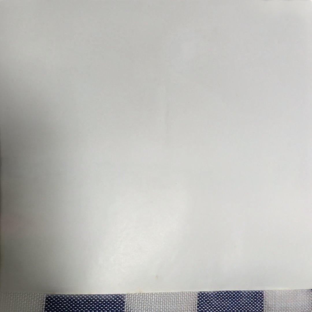 ポスター(遊星からの物体X)