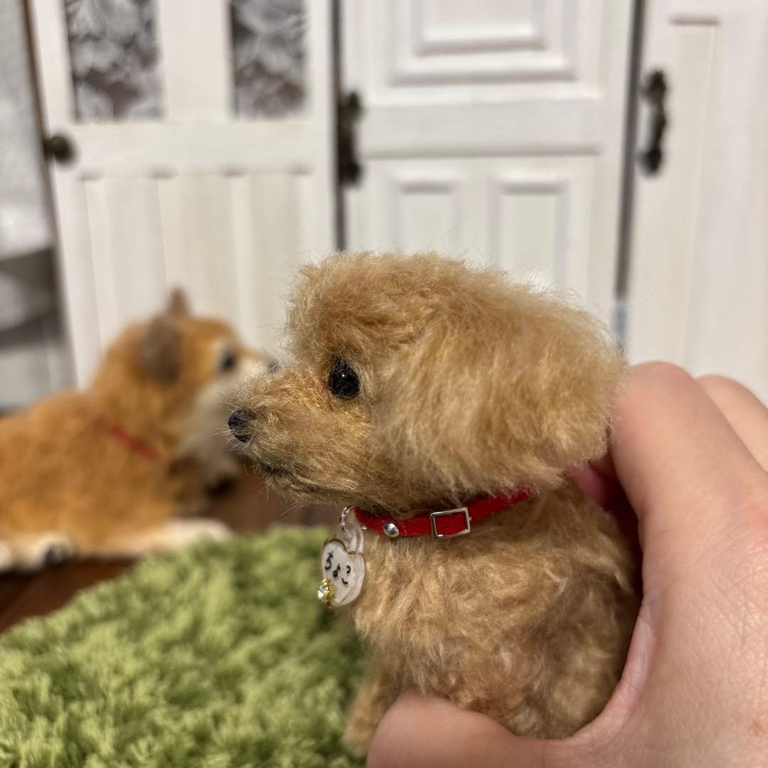 羊毛フェルト犬　やかちゃん