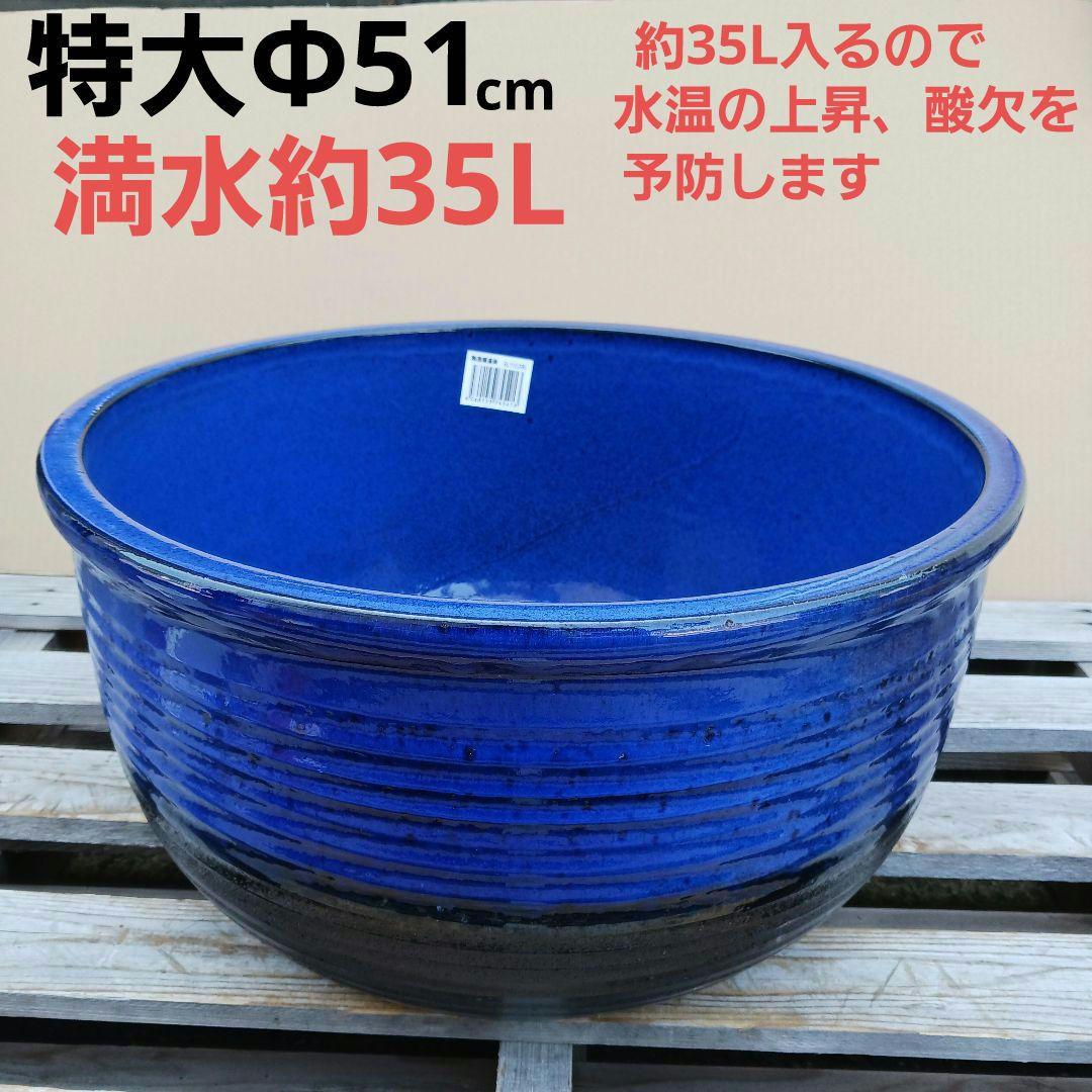 新品　∅51　特大　陶器　睡蓮鉢　手造り　メダカ鉢　難有　ラピスブルー　青LDB