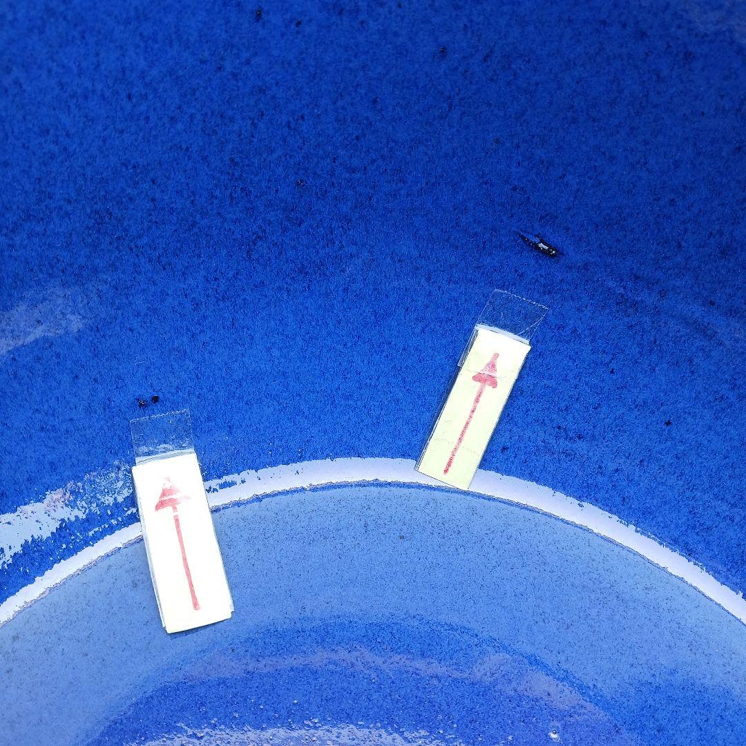 新品　∅51　特大　陶器　睡蓮鉢　手造り　メダカ鉢　難有　ラピスブルー　青LDB