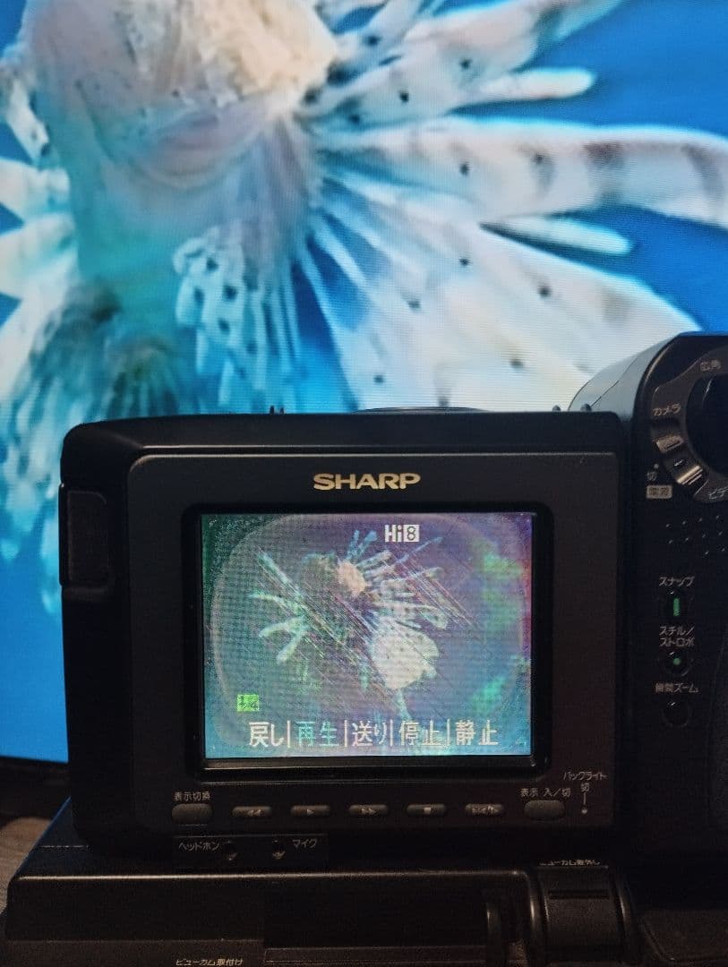 シャープ　Hi8 ８ミリビデオカメラ VL-HL50　ダビング◎