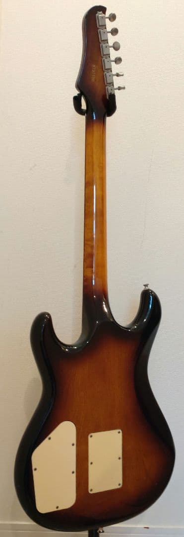 な*う様 グレコ GO−Ⅱ ハムバッキング X 2 タイプ　ナット変更あり