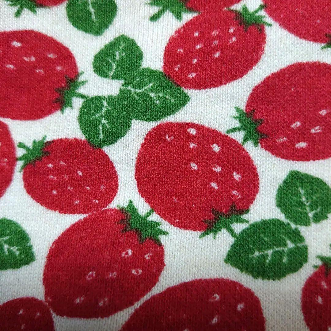 犬服 SS わんこの普段着　ごろっといちご