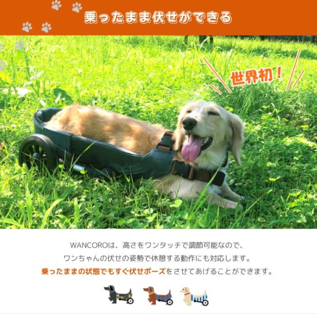 小型犬用車椅子⭐︎WANCORO【チェック柄】美品
