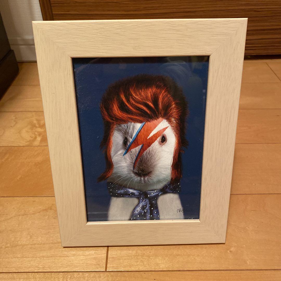petsrock ペッツロック　デビッドボウイ絵画　原画