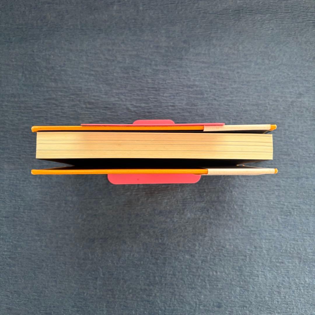 絶版ー願望実現の法則 : リアリティ・トランサーフィン2 : 魂の快/不快の選択