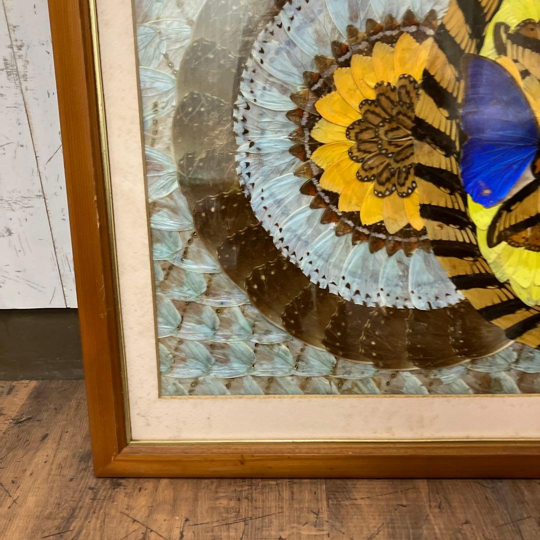 昭和レトロ 蝶 羽細工 標本 アートパネル 絵画 額装 額入り 伝統工芸 絵画