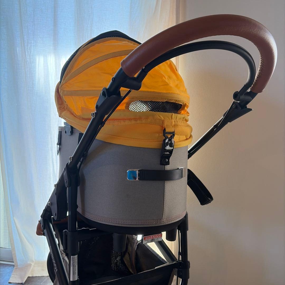 AirBuggy （エアバギー） DOME3 REGULAR チェダー