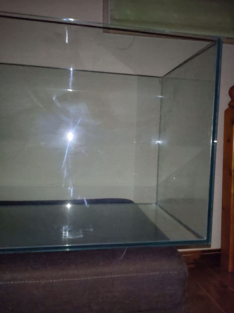 ドリー　gexグラステリア