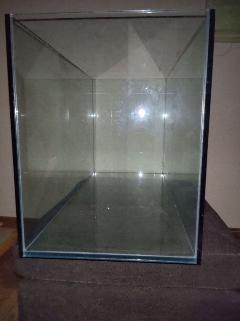 ドリー　gexグラステリア