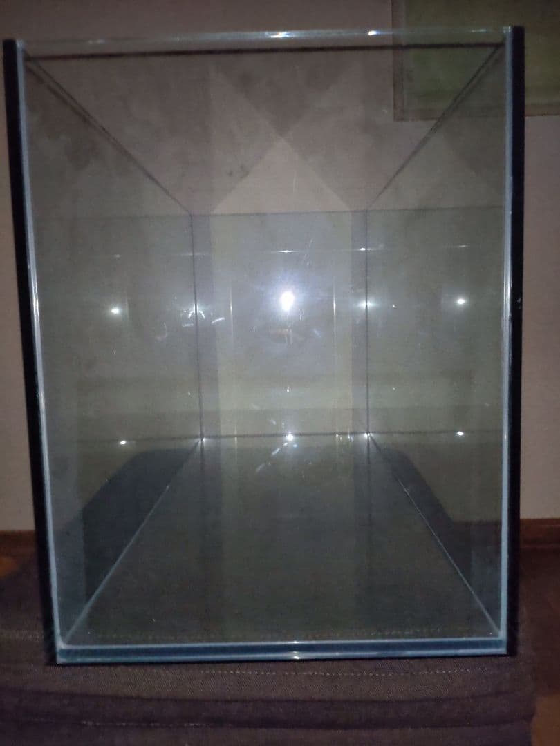 ドリー　gexグラステリア