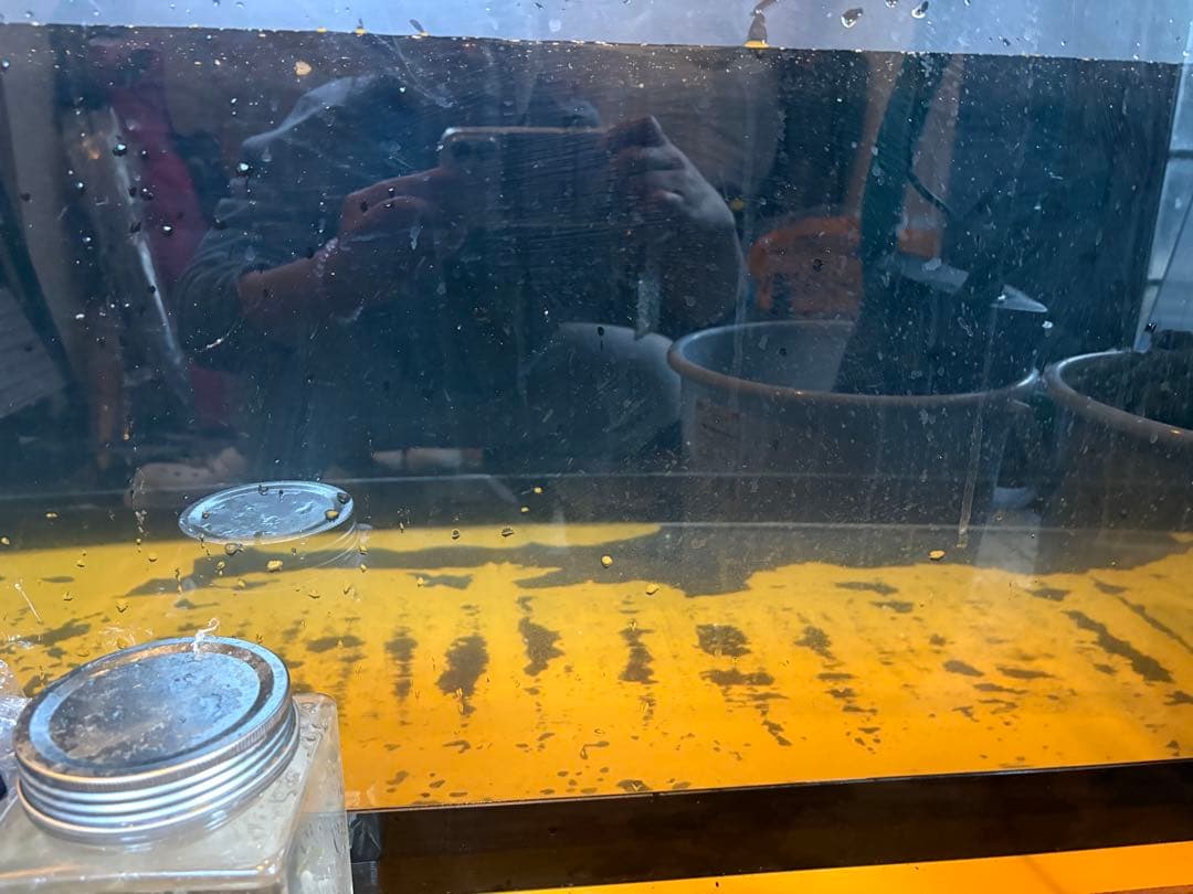 岐阜県 1/17以降 1500×600×600大型アクリル水槽フルセット8万