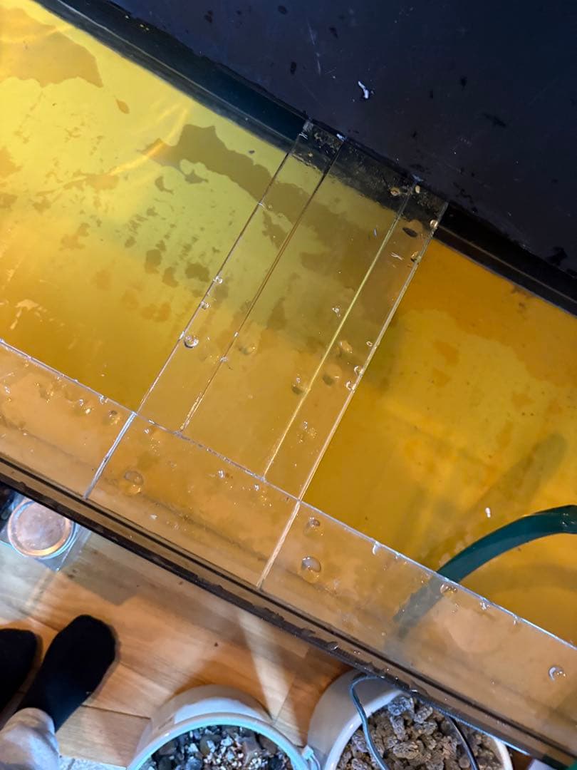 岐阜県 1/17以降 1500×600×600大型アクリル水槽フルセット8万